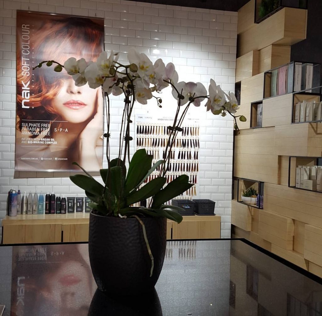 Paul Mitchell and Tea Tree products on display at Hair Station